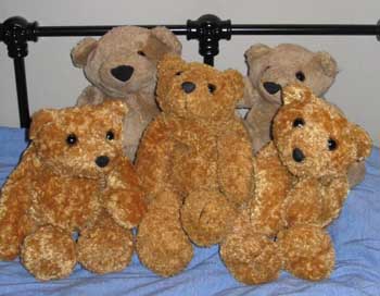 These are the bears